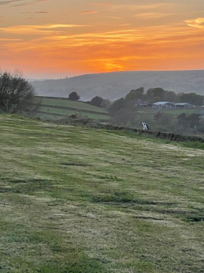 Oakley View Shepherds Hut With Hot Tub Chalet Whitby